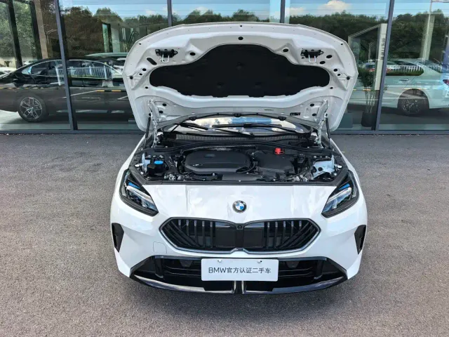 BMW 2 Series — Фото автомобиля 15