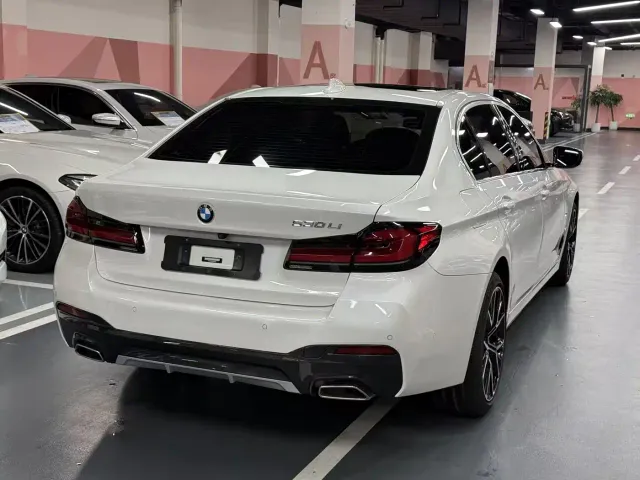 BMW 5 Series — Фото автомобиля 8