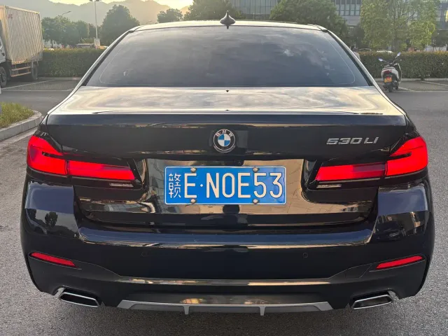 BMW 5 Series — Фото автомобиля 14