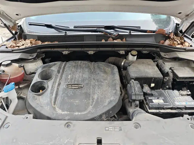 Geely Boyue — Фото автомобиля 19