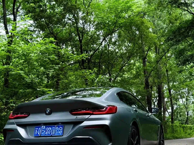 BMW 8 Series — Фото автомобиля 6