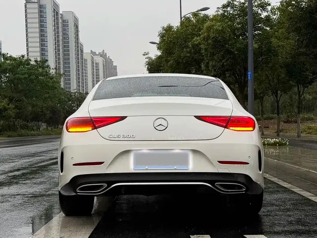 Mercedes-Benz CLS-Class — Фото автомобиля 12