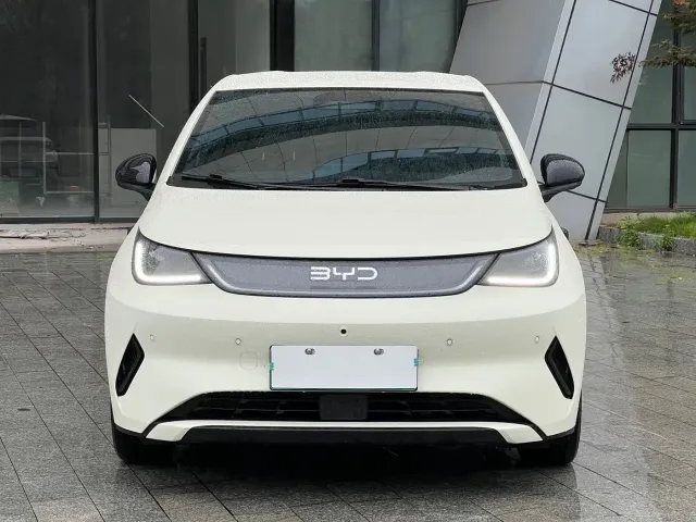 BYD Dolphin — Фото автомобиля 2
