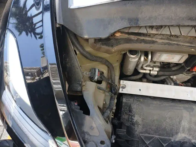 Tesla Model Y — Фото автомобиля 21