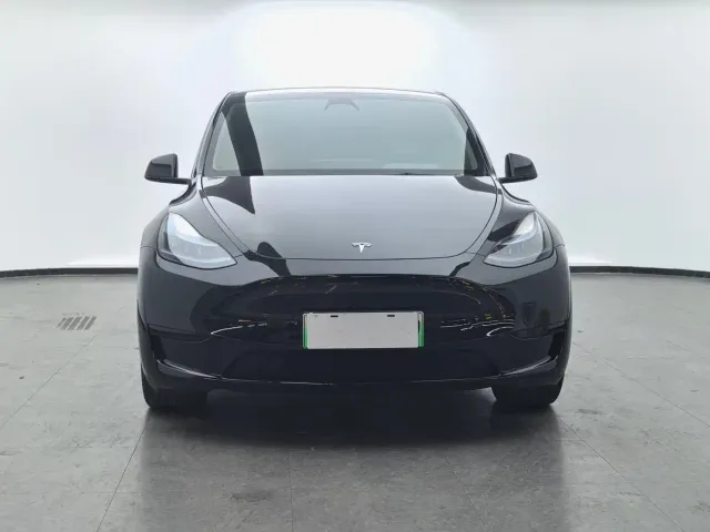 Tesla Model Y — Фото автомобиля 2