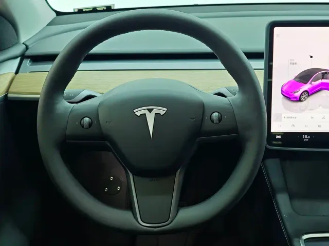 Tesla Model Y — Фото автомобиля 17