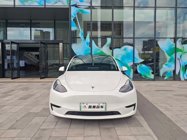 Tesla Model Y — Фото автомобиля 2