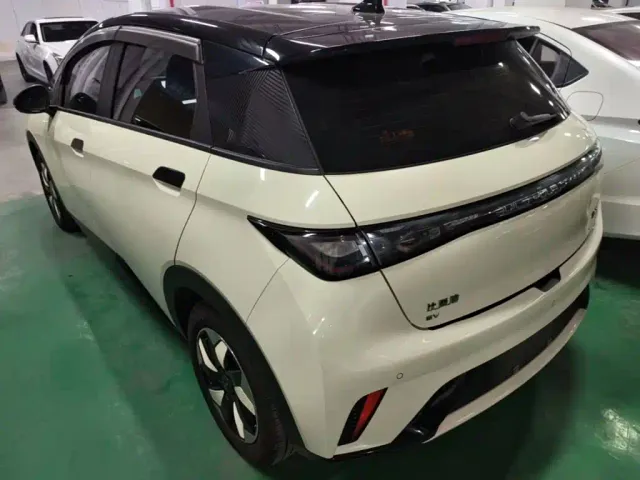 BYD Dolphin — Фото автомобиля 4