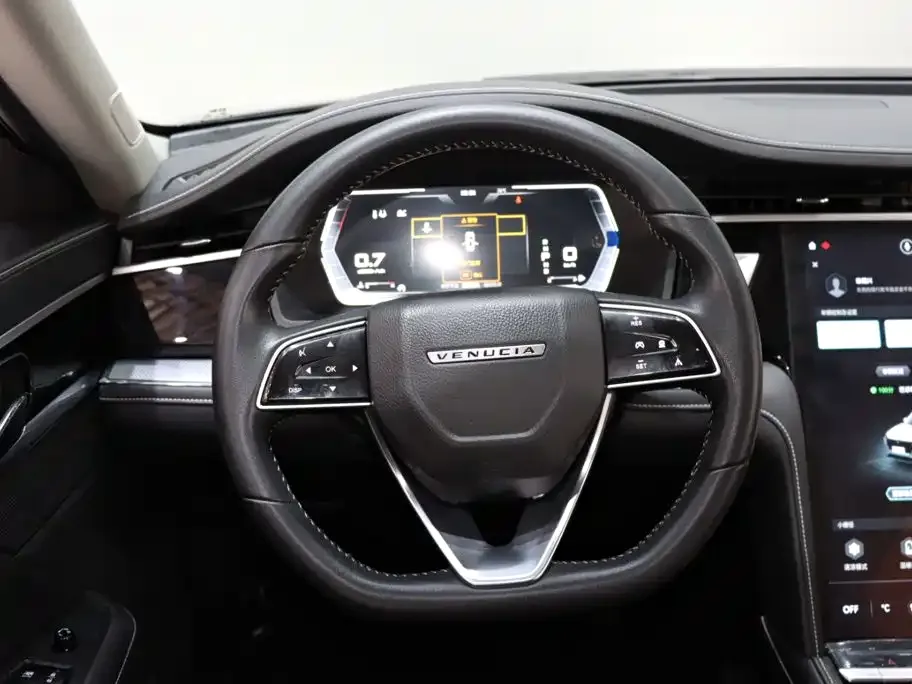 Venucia Venucia Star 2021 260T Auto 48V Mild Hybrid Star Edition — Фото автомобиля 12