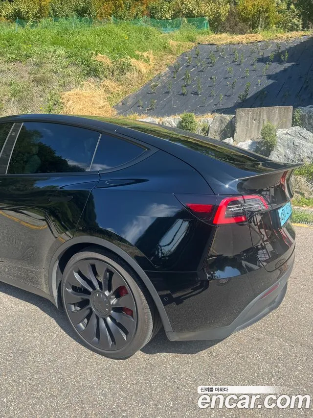 Tesla Model Y — Фото автомобиля 2