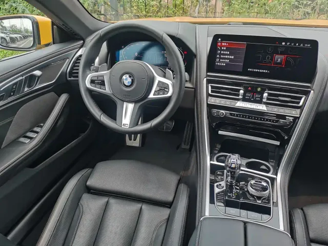 BMW 8 Series — Фото автомобиля 26