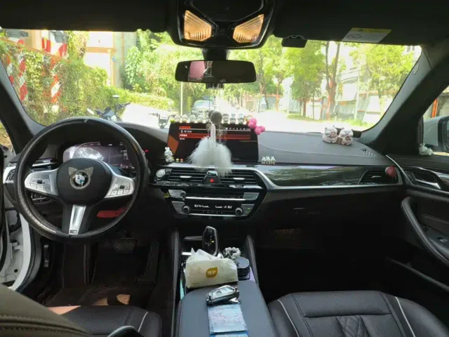 BMW 5 Series — Фото автомобиля 8