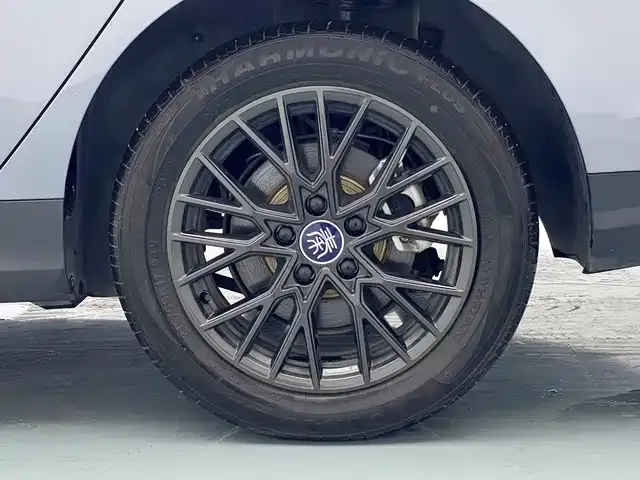 BYD Qin PLUS — Фото автомобиля 19