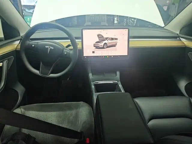 Tesla Model Y — Фото автомобиля 9