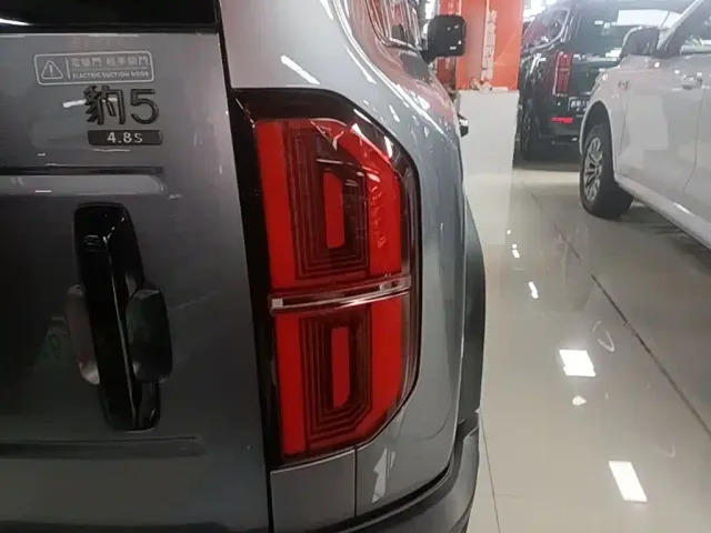 BYD FangChengBao Leopard 5 — Фото автомобиля 7