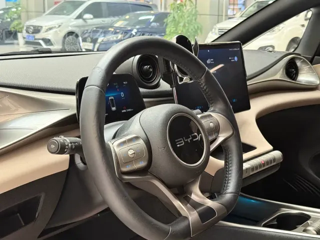 BYD Dolphin — Фото автомобиля 10