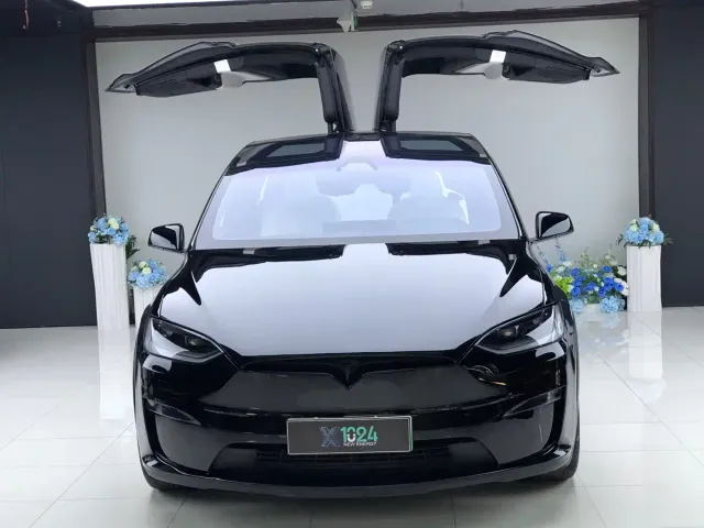 Tesla Model X — Фото автомобиля 2