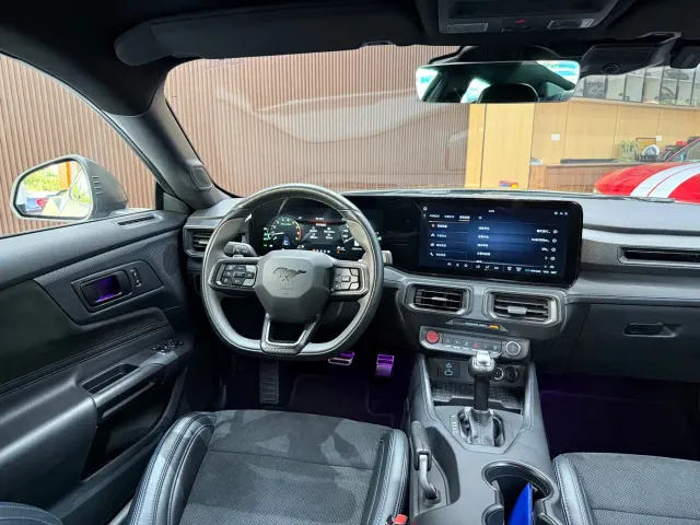 Ford Mustang — Фото автомобиля 17