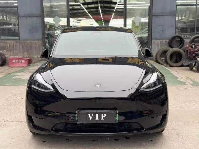 Tesla Model Y — Фото автомобиля 2