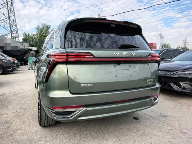 Wey Lanshan — Фото автомобиля 10