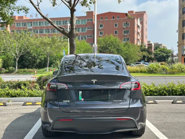 Tesla Model Y — Фото автомобиля 9