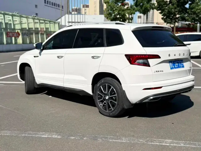 Skoda Karoq — Фото автомобиля 8