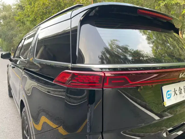 Kia Carnival — Фото автомобиля 16