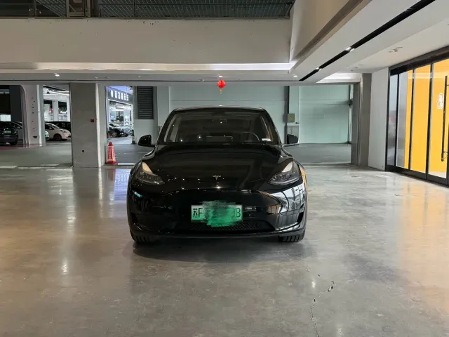 Tesla Model Y — Фото автомобиля 2