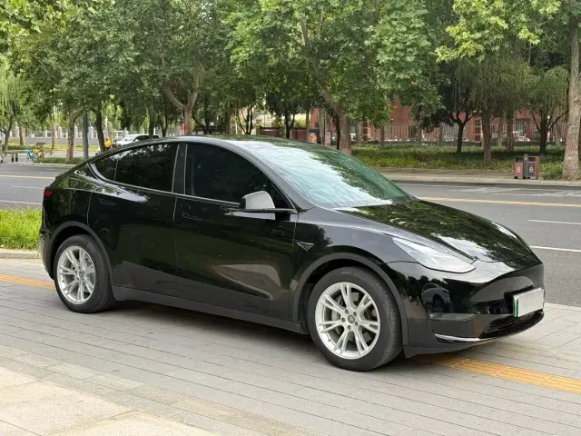 Tesla Model Y — Фото автомобиля 3