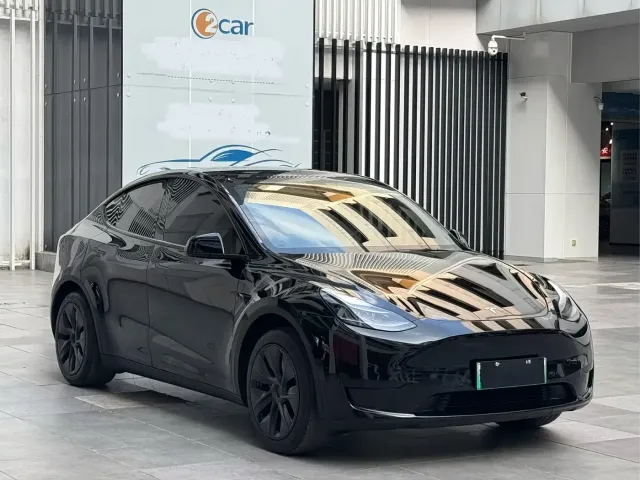 Tesla Model Y — Фото автомобиля 3