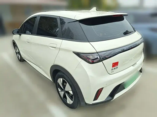 BYD Dolphin — Фото автомобиля 6