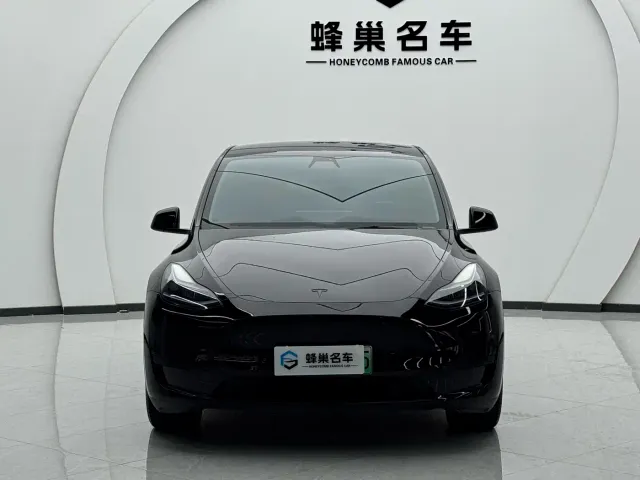 Tesla Model Y — Фото автомобиля 2