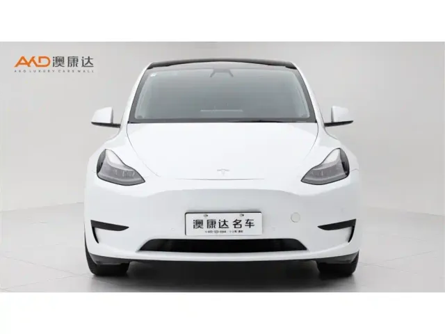 Tesla Model Y — Фото автомобиля 2