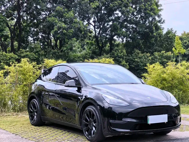 Tesla Model Y — Фото автомобиля 2
