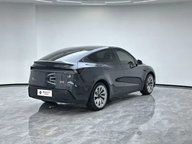 Tesla Model Y — Фото автомобиля 2