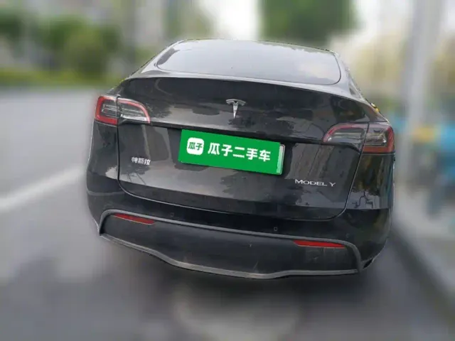 Tesla Model Y — Фото автомобиля 3