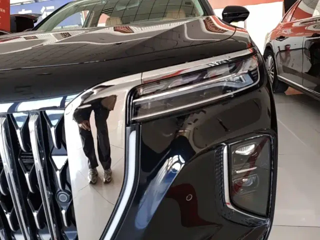 Hongqi H9 — Фото автомобиля 23