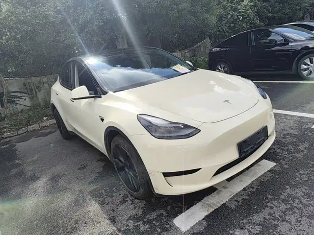 Tesla Model Y — Фото автомобиля 3