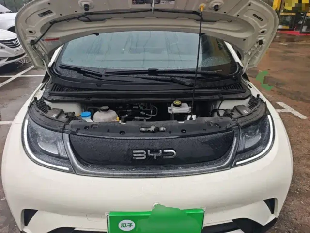 BYD Dolphin — Фото автомобиля 19