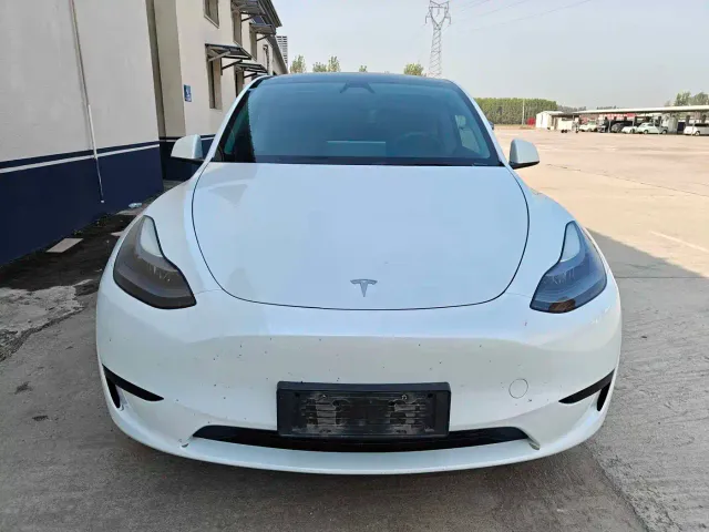 Tesla Model Y — Фото автомобиля 2