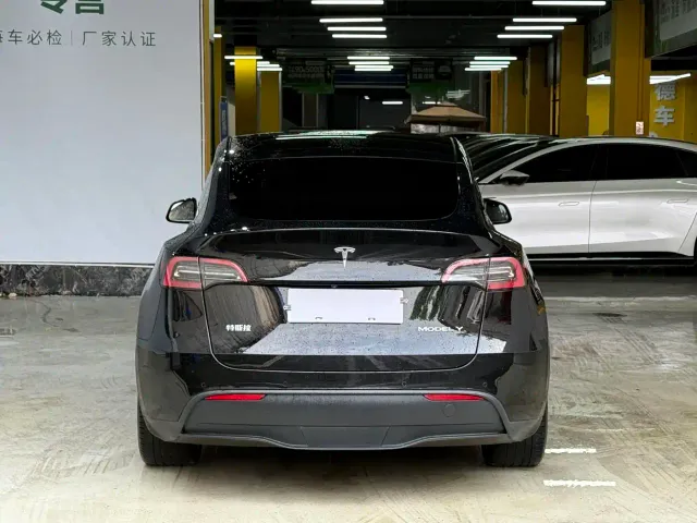 Tesla Model Y — Фото автомобиля 6