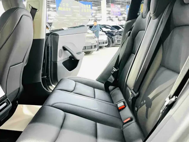 Tesla Model 3 — Фото автомобиля 8