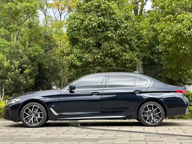BMW 5 Series — Фото автомобиля 23