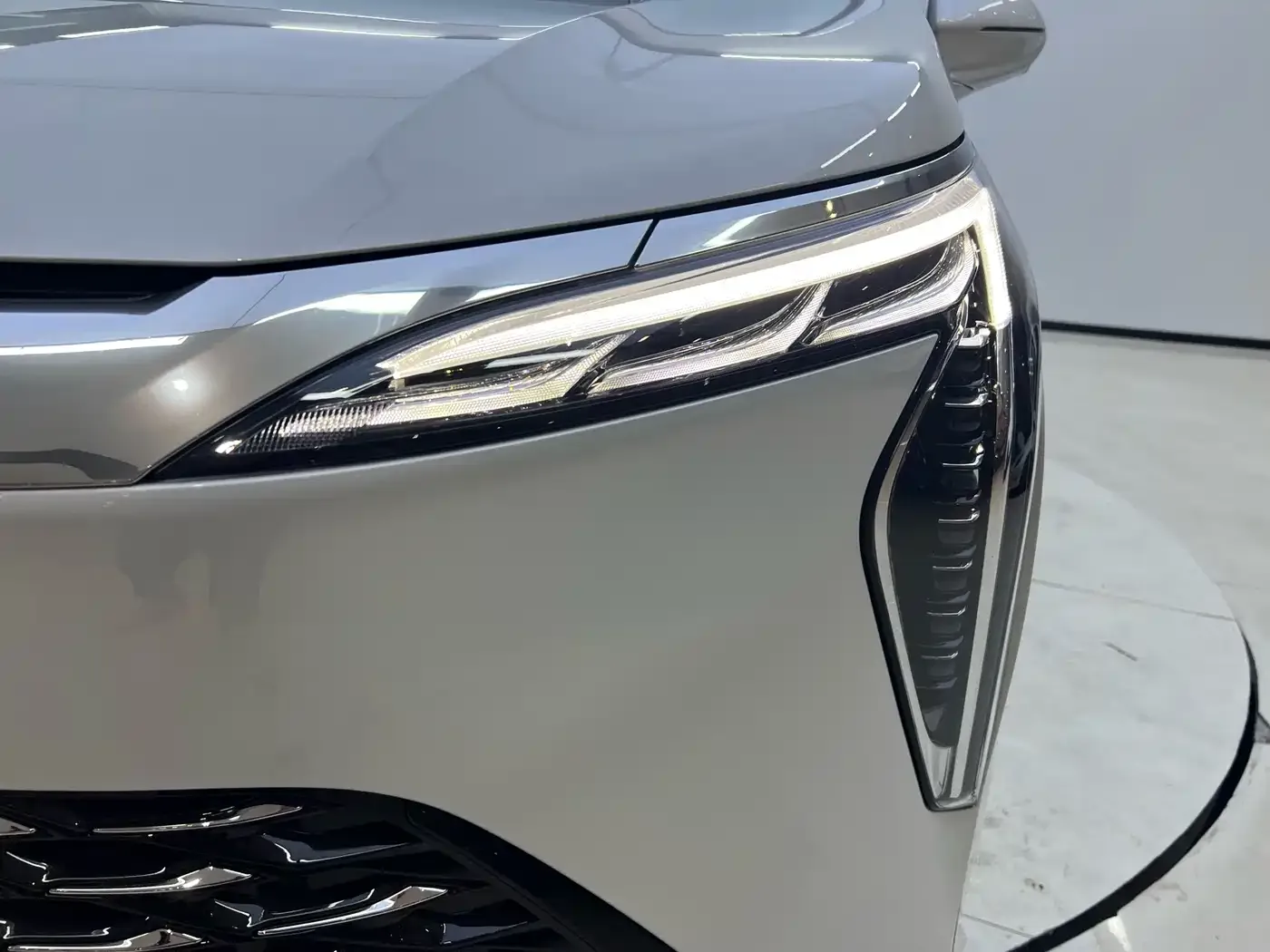 Buick Century 2023 2.0T 4-Seat Private Edition — Фото автомобиля 7