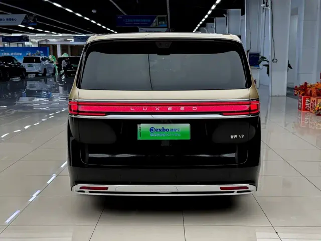 Luxeed Zunjie MPV — Фото автомобиля 12