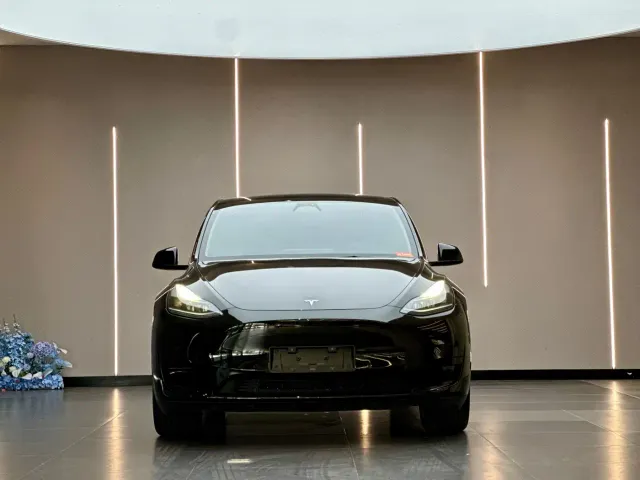 Tesla Model Y — Фото автомобиля 2