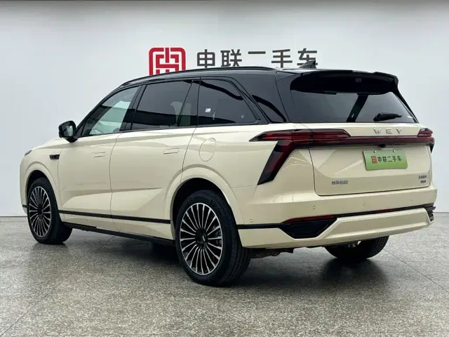 Wey Lanshan — Фото автомобиля 2