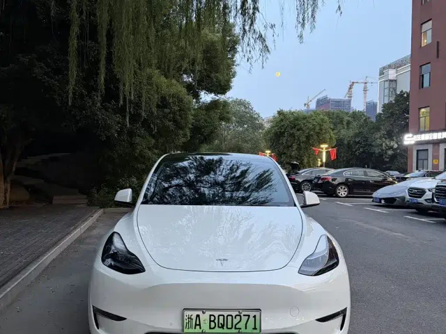 Tesla Model Y — Фото автомобиля 2