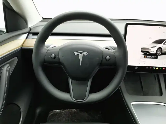 Tesla Model Y — Фото автомобиля 11