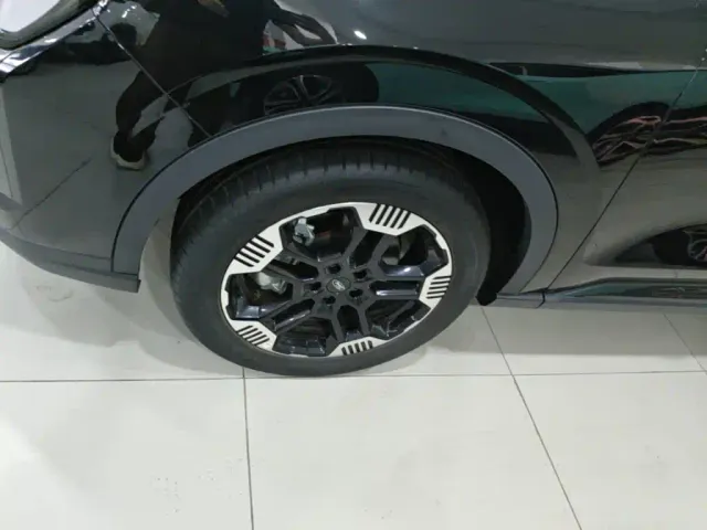 Ford Lingrui — Фото автомобиля 22